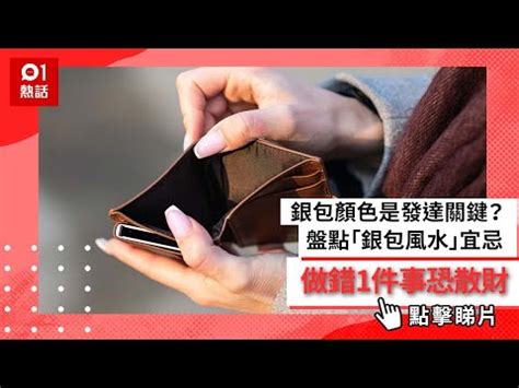 舊銀包處理|銀包顏色是發達關鍵？盤點6個「銀包風水」宜忌 做。